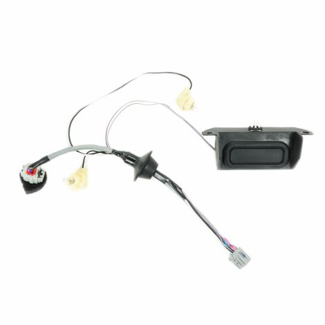 2009-17 Buick Enclave Liftgate Release Switch & License Lamps 20877759 20890648